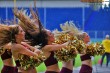 Thumbs/tn_IMG_2919.jpg