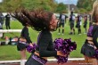 Thumbs/tn_IMG_6725.jpg