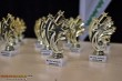 Thumbs/tn_110353-IMG_7413.jpg