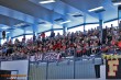 Thumbs/tn_113503-IMG_7460.jpg