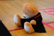 Thumbs/tn_114629-IMG_7588.jpg