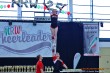 Thumbs/tn_124210-IMG_8388.jpg