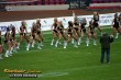 Thumbs/tn_IMG_0973.jpg