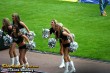 Thumbs/tn_IMG_1017.jpg