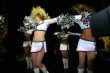 Thumbs/tn_IMG_6381.jpg