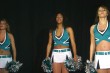 Thumbs/tn_IMG_6595.jpg