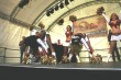 Thumbs/tn_IMG_6851.jpg