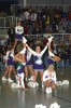 Thumbs/tn_IMG_9413.jpg