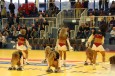 Thumbs/tn_IMG_4438.jpg