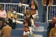 Thumbs/tn_IMG_4488.jpg