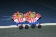 Thumbs/tn_800_0076.jpg