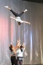 Thumbs/tn_IMG_4940.jpg
