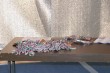 Thumbs/tn_IMG_5431.jpg