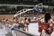 Thumbs/tn_IMG_5886.jpg