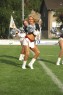 Thumbs/tn_silverstars291.jpg