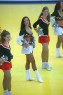 Thumbs/tn_PICT7210.jpg