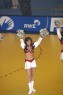 Thumbs/tn_silverstars028.jpg