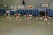 Thumbs/tn_028.jpg