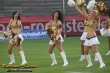 Thumbs/tn_186_8646.jpg