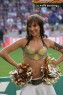 Thumbs/tn_187_8788.jpg
