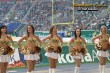 Thumbs/tn_IMG_9185.jpg