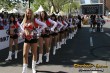 Thumbs/tn_164_6485.jpg
