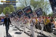 Thumbs/tn_165_6582.jpg