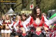 Thumbs/tn_166_6612.jpg