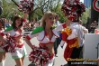 Thumbs/tn_169_6959.jpg