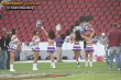 Thumbs/tn_186_8693.jpg