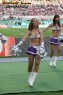 Thumbs/tn_189_8943.jpg