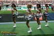 Thumbs/tn_189_8954.jpg
