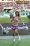 Thumbs/tn_190_9002.jpg