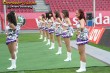 Thumbs/tn_190_9064.jpg