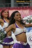 Thumbs/tn_191_9173.jpg