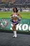 Thumbs/tn_252_5239.jpg