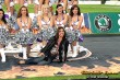 Thumbs/tn_IMG_0876.jpg