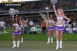 Thumbs/tn_833_3376.jpg
