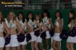 Thumbs/tn_835_3559.jpg