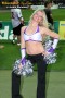 Thumbs/tn_838_3802.jpg