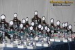 Thumbs/tn_288_8861.jpg