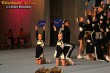 Thumbs/tn_290_9004.jpg