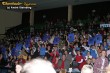 Thumbs/tn_292_9287.jpg