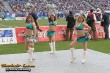 Thumbs/tn_238_3866.jpg