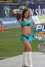 Thumbs/tn_238_3895.jpg