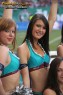 Thumbs/tn_239_3937.jpg