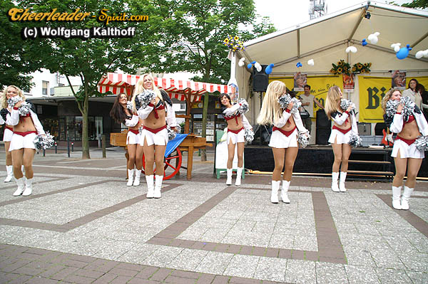 ../Images/silverstars_matjes-fest001.jpg