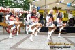 Thumbs/tn_silverstars_matjes-fest015.jpg