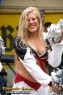 Thumbs/tn_silverstars_matjes-fest023.jpg