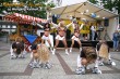 Thumbs/tn_silverstars_matjes-fest029.jpg